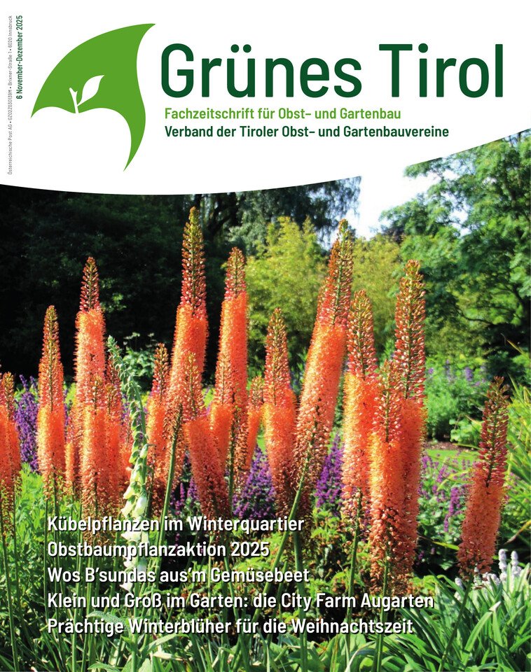 November-Dezember 2025