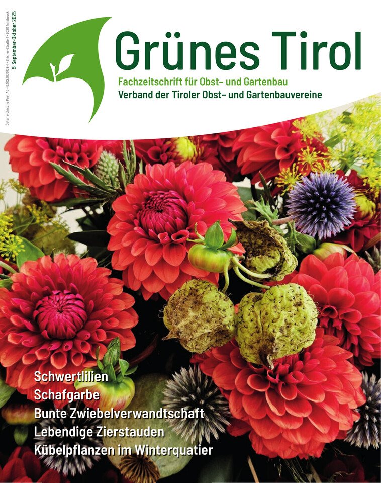 September-Oktober 2025